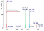 Gas chromatography with methane chemical ionization and quadrupole-time of flight mass spectrometry obtains molecular ion species to automatically assign elemental formulas